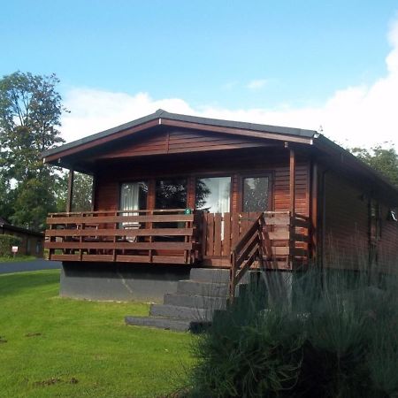 Bluebell Lodge 5 With Hot Tub Newton Stewart Minnigaff Exterior photo
